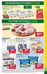 Smaczne zakupy – Stokrotka Supermarket