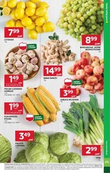 Smaczne zakupy – Stokrotka Supermarket