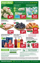 Smaczne zakupy – Stokrotka Supermarket