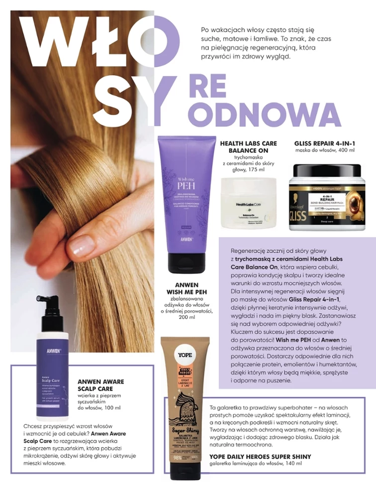 leaflet page preview image