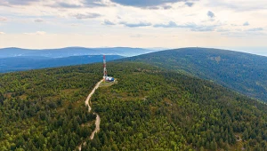 Łatwy szczyt na pierwszą wycieczkę. Należy do Korony Gór Dolnego Śląska