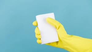 Wszyscy używają tych gąbek do sprzątania. Eksperci zdradzają, jak są niebezpieczne