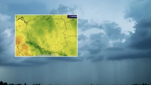 Pogoda w Polsce zaczyna się zmieniać. Ma w tym udział Oldenburgia