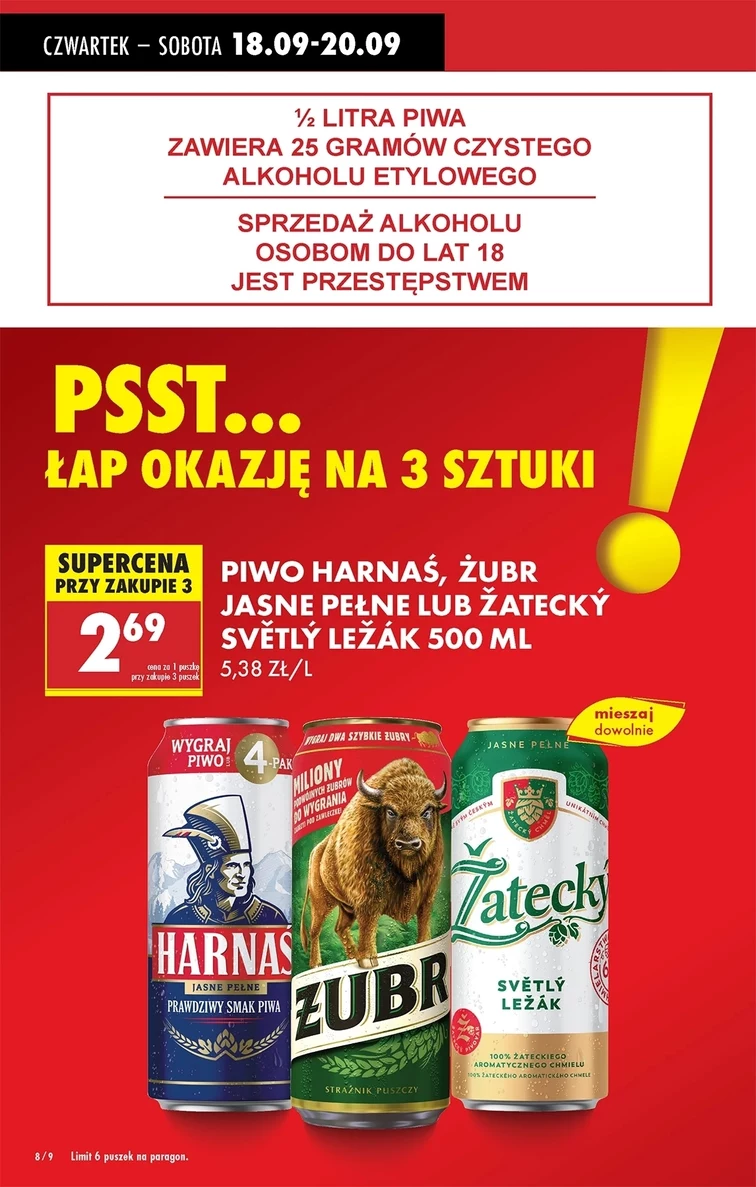 leaflet page preview image