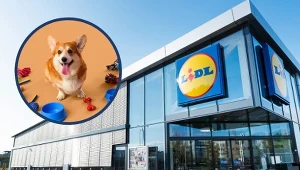 Twój pupil oszaleje ze szczęścia! Zobacz, co czeka na niego w Lidlu