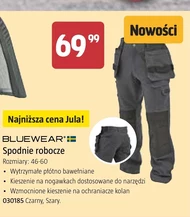 Робочі штани Bluewear