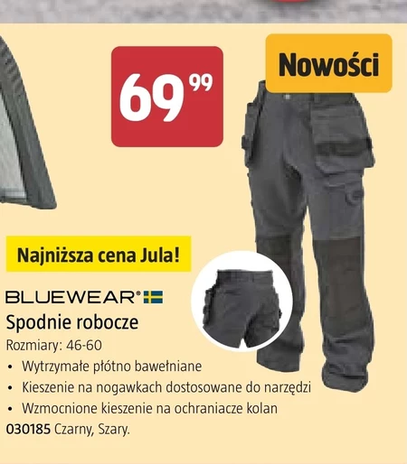 Робочі штани Bluewear