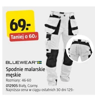 Spodnie męskie Bluewear