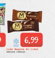 Lody Magnum