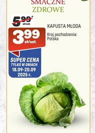Kapusta młoda
