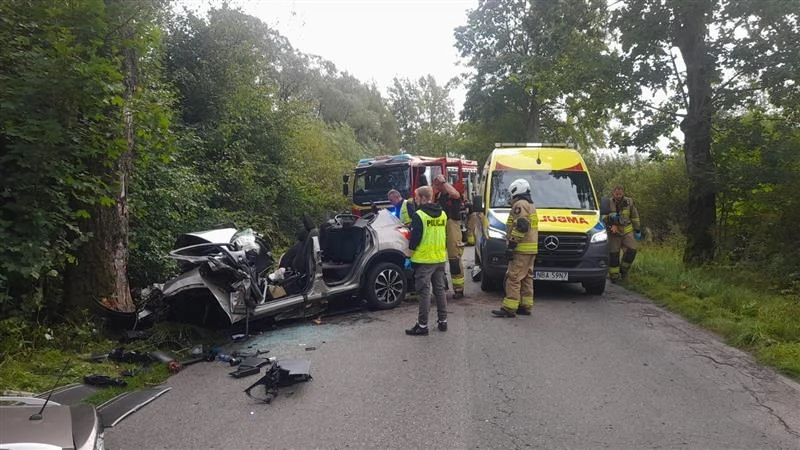 Warmińsko-mazurskie. Samochód uderzył w drzewo. Jedna osoba nie żyje Rozbity samochód osobowy uderzony w drzewo przy wąskiej, wiejskiej drodze, wokół którego pracują ratownicy medyczni i strażacy, obok zaparkowane są pojazdy pogotowia ratunkowego i straży pożarnej.