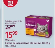 Корм для котів Whiskas