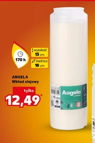 Wkład olejowy Angela