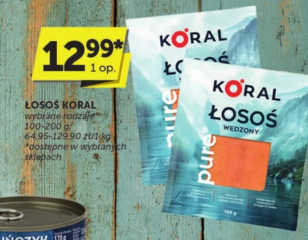 Łosoś Koral