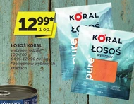 Łosoś Koral