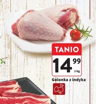 Golonka