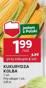 Kukurydza Polski