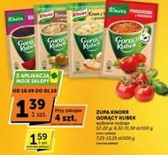 Zupa Knorr