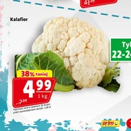 Kalafior Prim