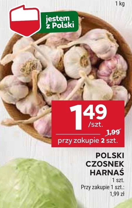 Czosnek Harnaś