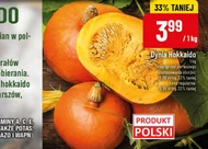 Dynia Polski