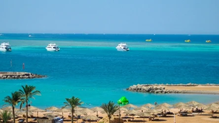 W jednym z egipskich kurortów pojawiły się rekiny 