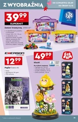 Megaoferty na jesień od Biedronki