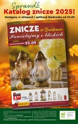 Megaoferty na jesień od Biedronki