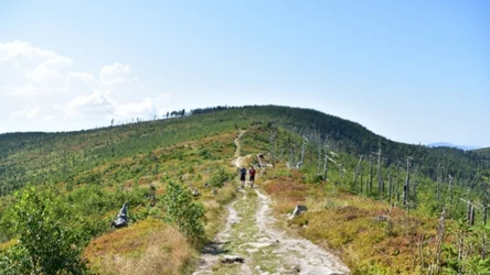 Jesienią warto wybrać się na Baranią Górę