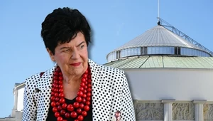 Nowe partie w Sejmie? Te dwie formacje chcą wejść do parlamentu