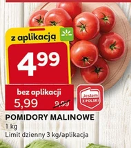 Pomidory