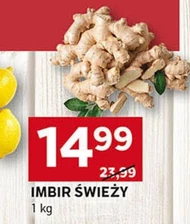 Imbir