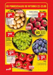 Super hity od poniedziałku! - Polomarket