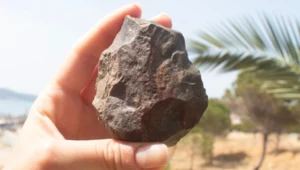 Nie tylko Beringia. Odkryli pradawny most o ogromnym znaczeniu