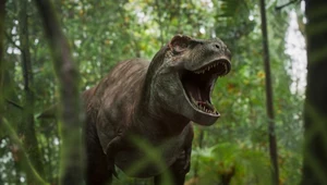 Podręczniki piszemy na nowo. Spielberg mylił się co do tyranozaura