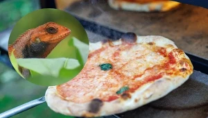 Antynoble za najdziwniejsze badania naukowe zostały rozdane, zdj. ilustracyjne