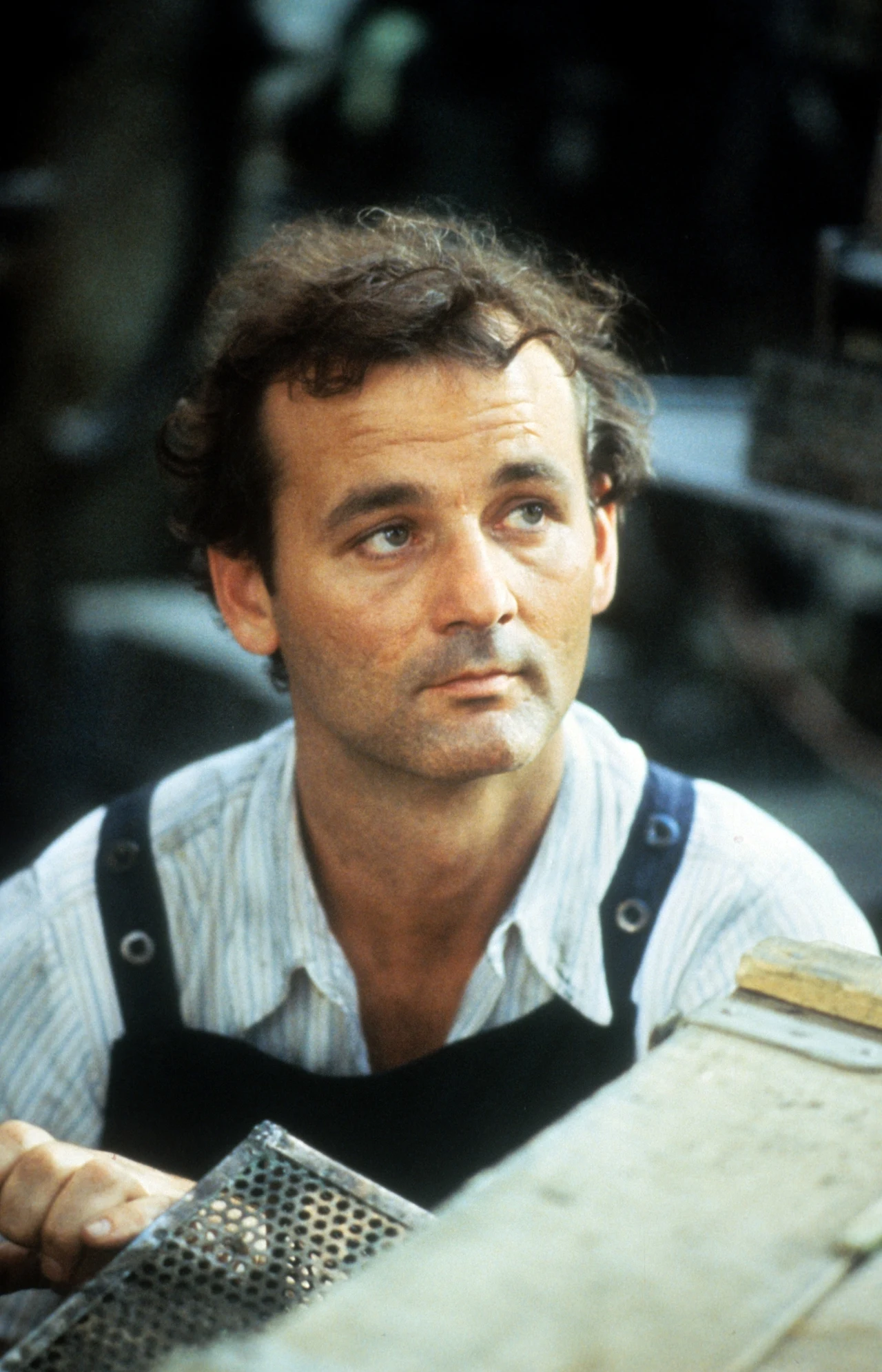 Bill Murray w 1984 roku Bill Murray w 1984 roku