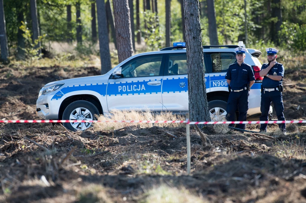 Straż leśna czy policja może karać kierowców wysokimi mandatami za parkowanie w lesie Straż leśna czy policja może karać kierowców wysokimi mandatami za parkowanie w lesie