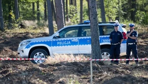 Grzybobranie z niespodzianką. Mandaty sypią się jak maślaki do koszyka