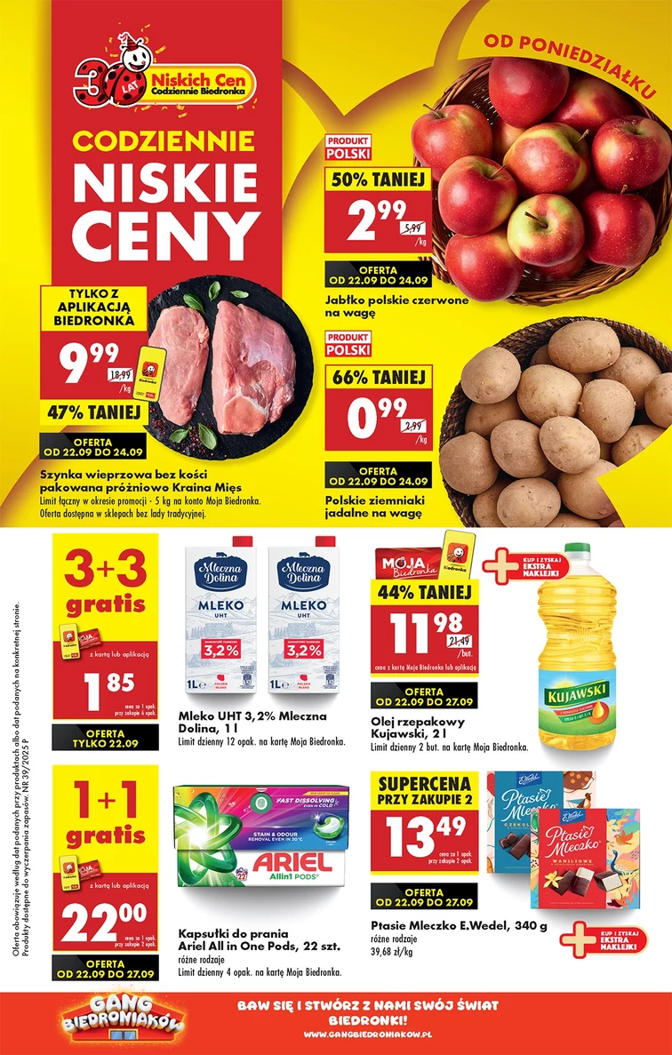 leaflet page preview image