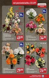 Światełko pamięci - Aldi