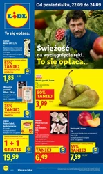 To się opłaca! - Lidl