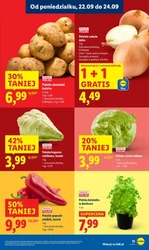 To się opłaca! - Lidl