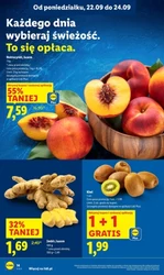 To się opłaca! - Lidl