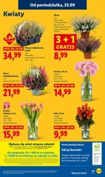 To się opłaca! - Lidl