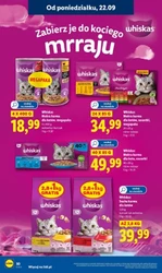 To się opłaca! - Lidl