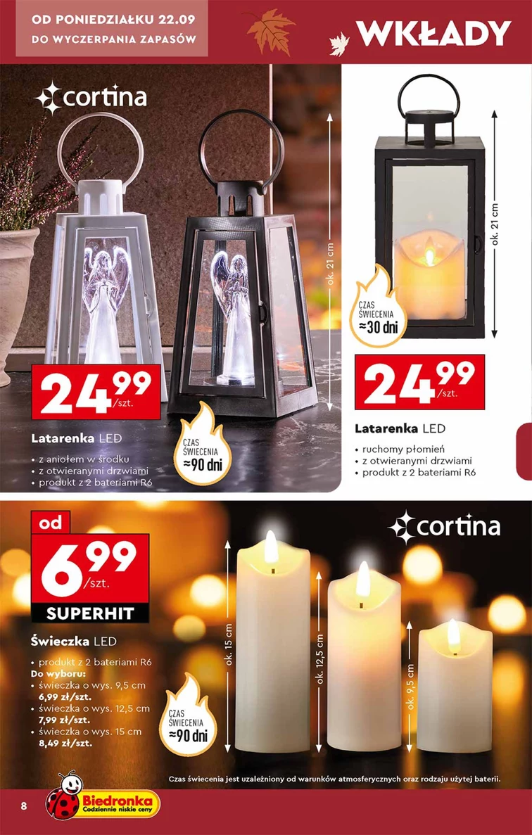leaflet page preview image