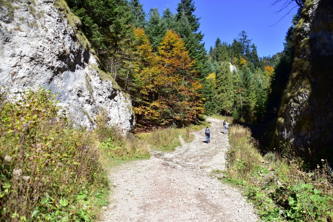Gdzie w góry jesienną porą? Ten szlak zachwyca swoją malowniczością i łatwością. 