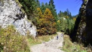 Ten szlak turyści najchętniej wybierają jesienią. Bardzo widokowy i niezbyt trudny