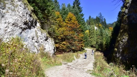 Gdzie w góry jesienną porą? Ten szlak zachwyca swoją malowniczością i łatwością. 